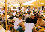 folkimage11.gif (17268 bytes)